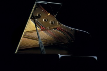 Piano_Lid_20150407043907539-e1428450060389